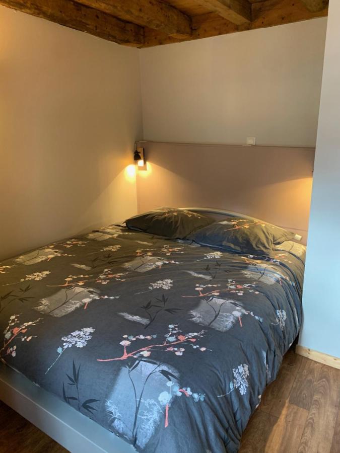 Bel Appart 3* Centre Village 维拉尔-德朗 外观 照片
